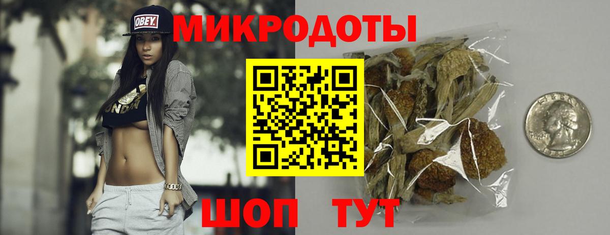 Новосибирск  Псилоцибиновые грибы GOLDEN TEACHER  Вход с VPN 